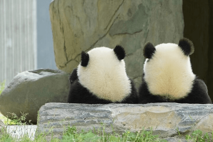 China Visa-Free UK Guide: British Passport China Travel Requirements