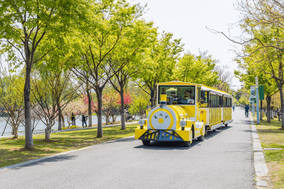 Xuanwu Lake Round-Lake Sightseeing Train