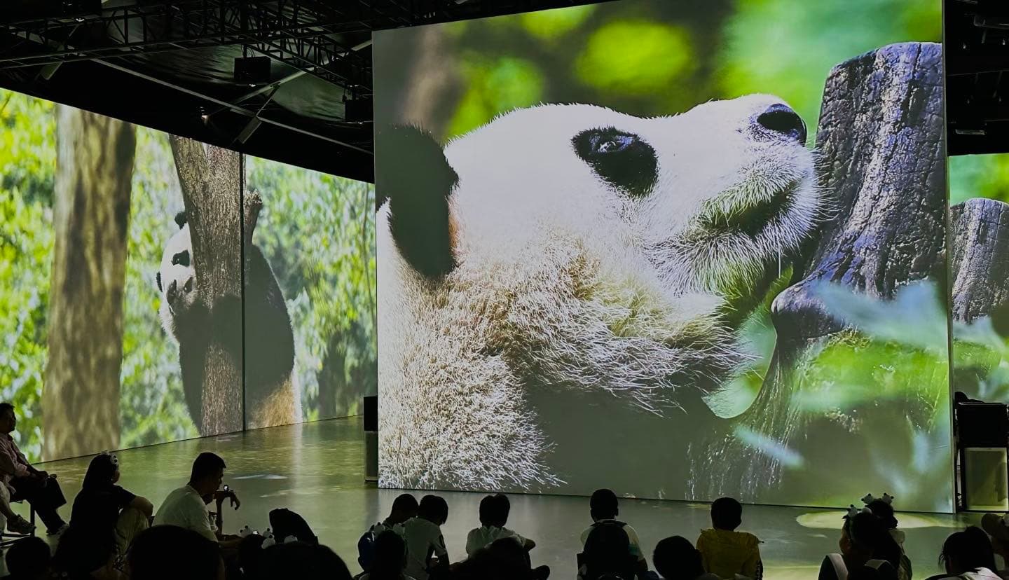 Panda Planet Light & Shadow Exhibition Experience